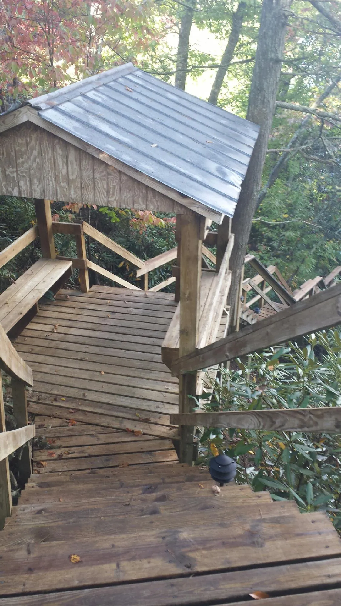 Metal roofed shelter over wooden steps on a wooded walkway — Skylight Repair & Installation work by our crew in Carr