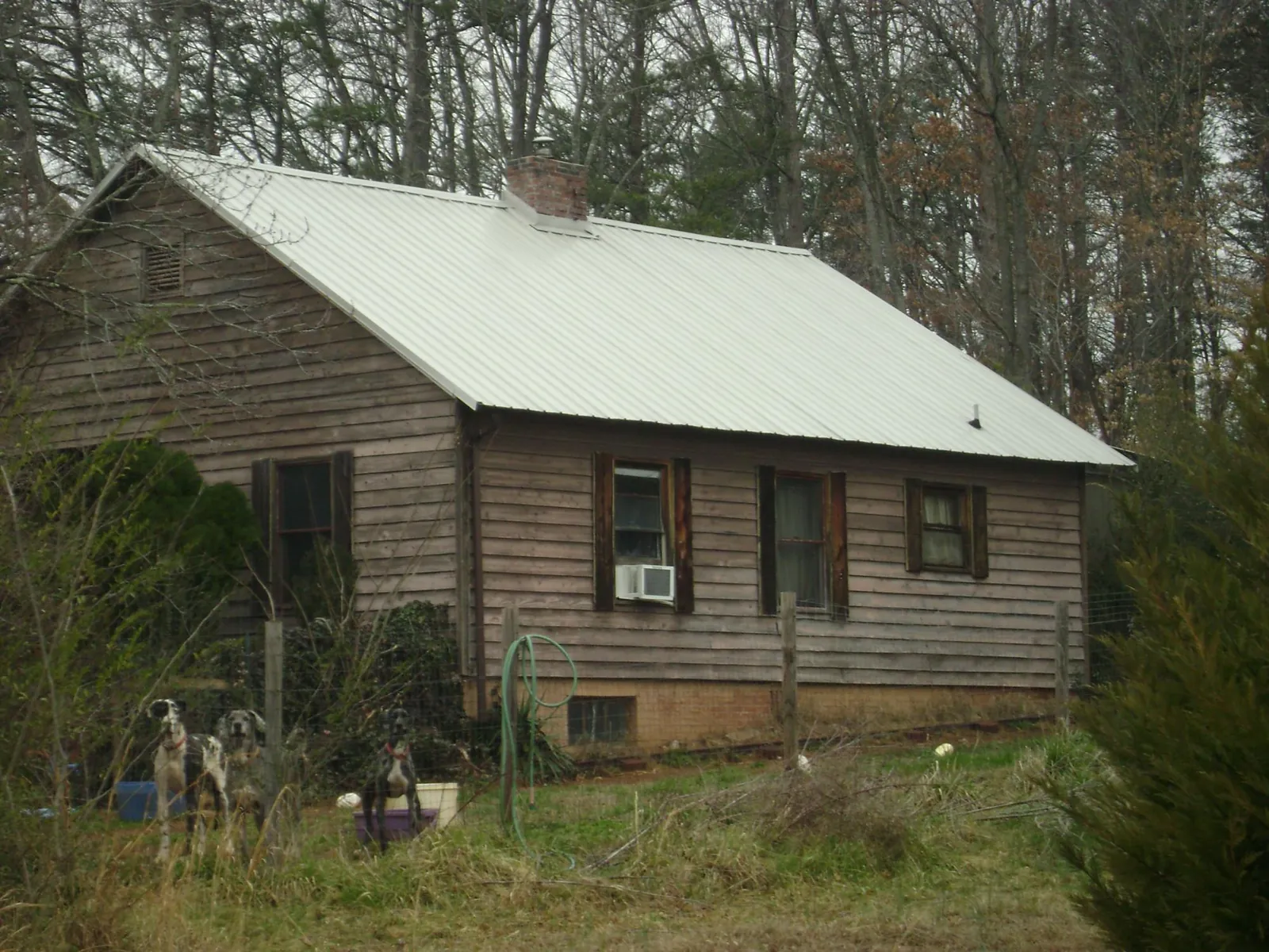White metal roof on an old wood sided farmhouse, from a Asphalt Shingle Roof Repair job in Carr